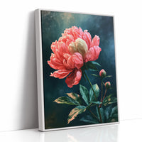 Coral Peony Against Midnight Blue