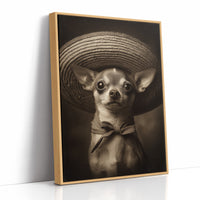 Desert Sun Little Bandit