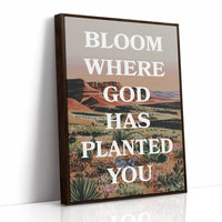 Where The Desert Learns Your Name