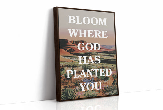 Where The Desert Learns Your Name
