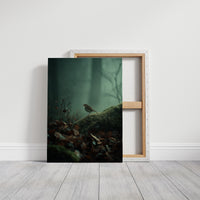 Solitary Songbird In Misty Forest