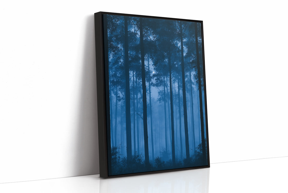 Moonrise Through the Pines