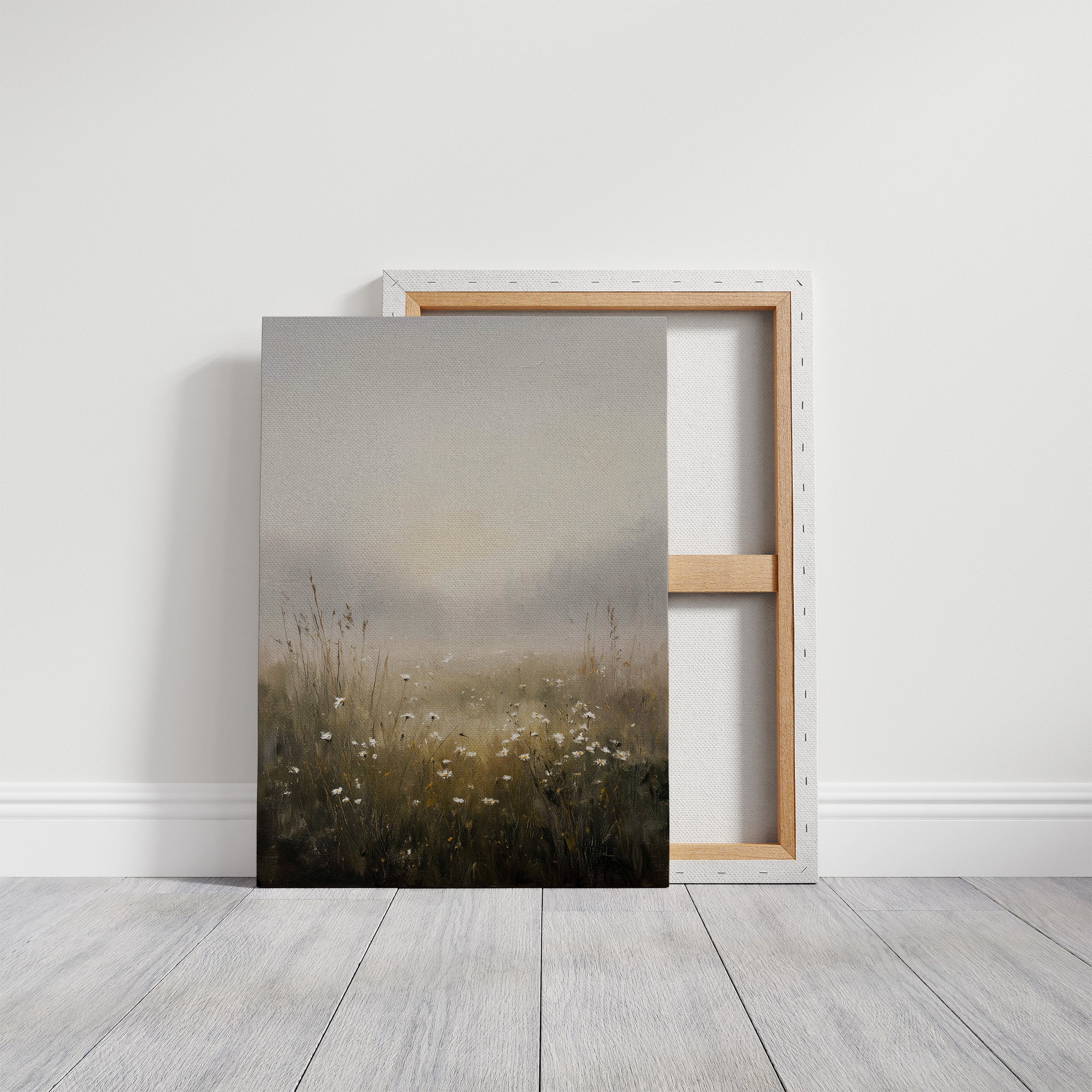 Daisies Linger In Morning Fog