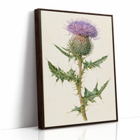 Purple Thistle In Fine Detail