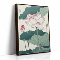 Lotus Blooms Between Library Lines