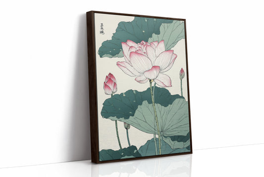 Lotus Blooms Between Library Lines