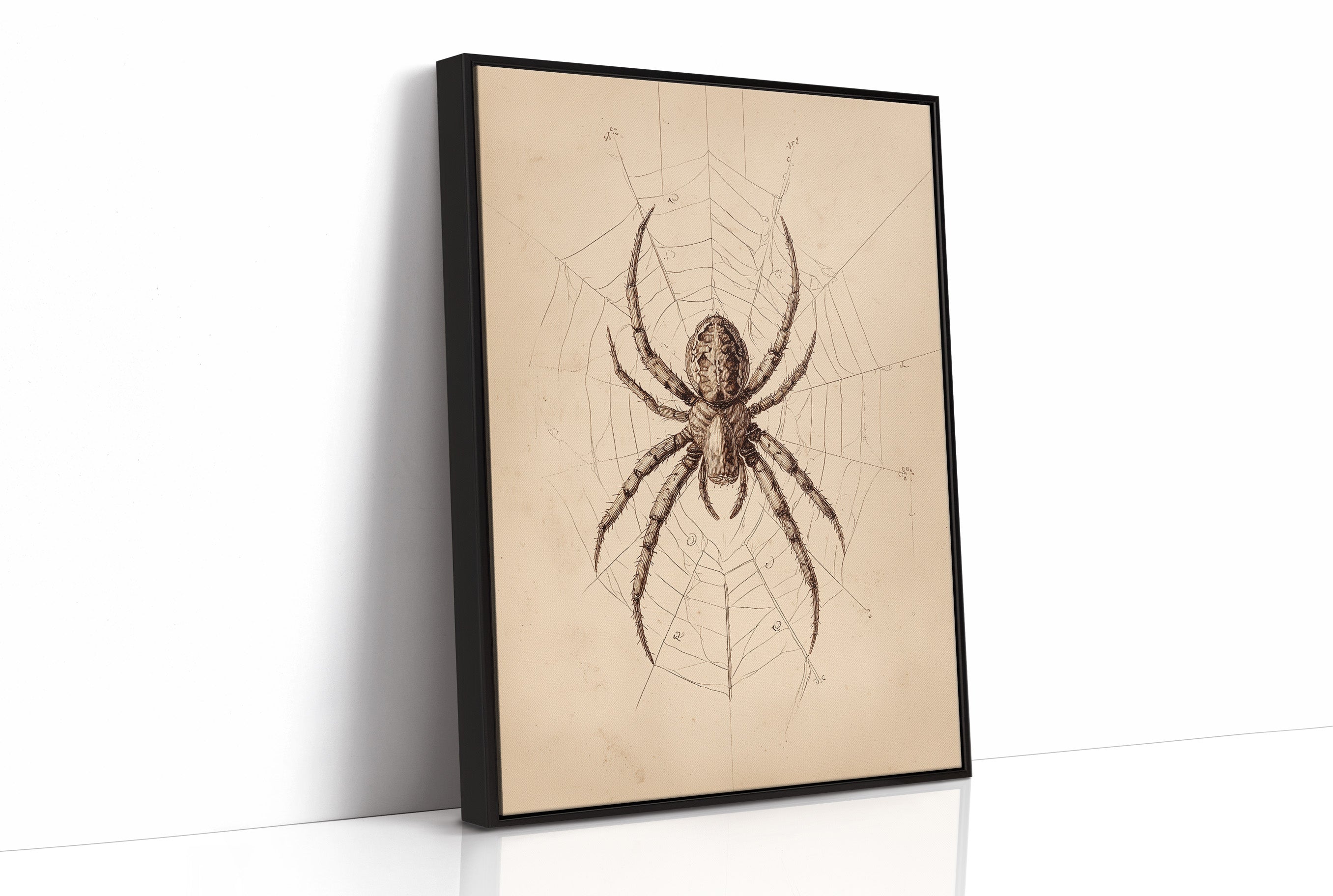 Ancient Weaver's Delicate Architecture