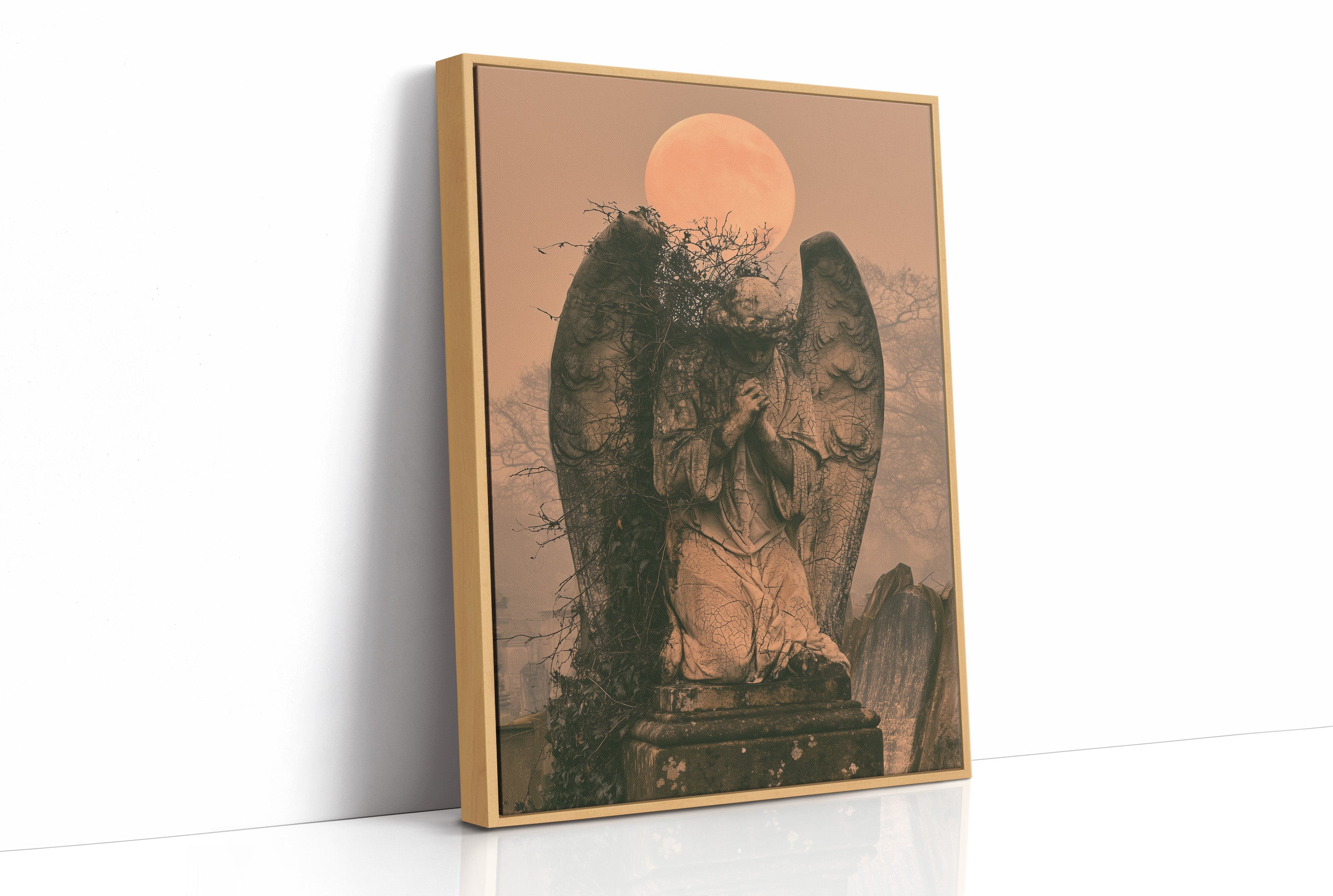 The Weeping Angel's Vigil