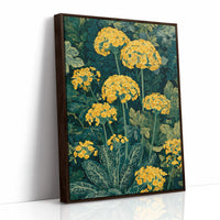 Primula Garden in Bloom