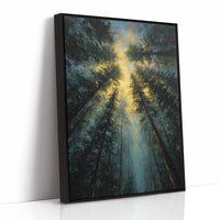 Sunbeams Pierce Ancient Forest Canopy