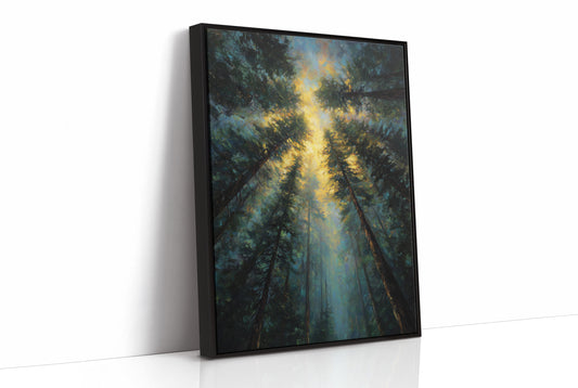 Sunbeams Pierce Ancient Forest Canopy