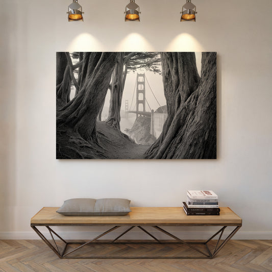 Ancient Trees Frame City Dreams