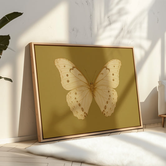Golden Ivory Butterfly Study