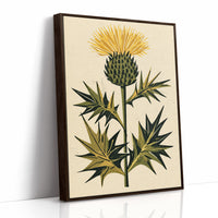 Golden Thistle in Bloom