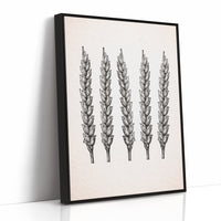 Wheat Stalks Stand in Silent Formation