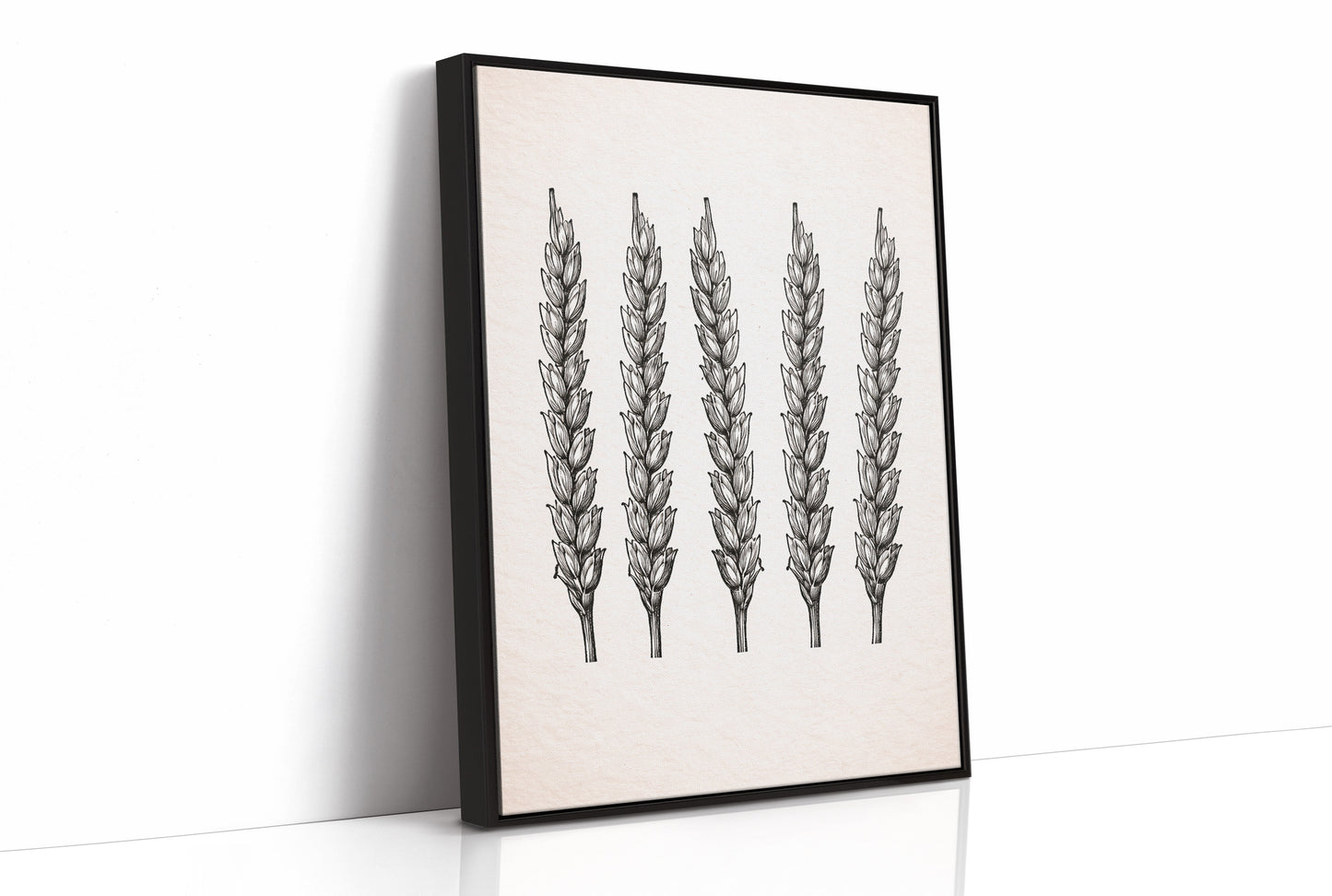 Wheat Stalks Stand in Silent Formation