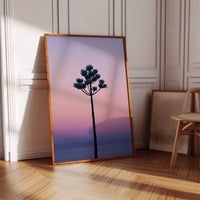 Twilight Palm Reaches For Stars