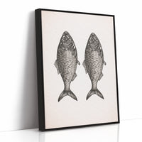 Mirrored Catch: Anatomical Fish Study