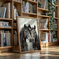 Close Companions at the Fence Line