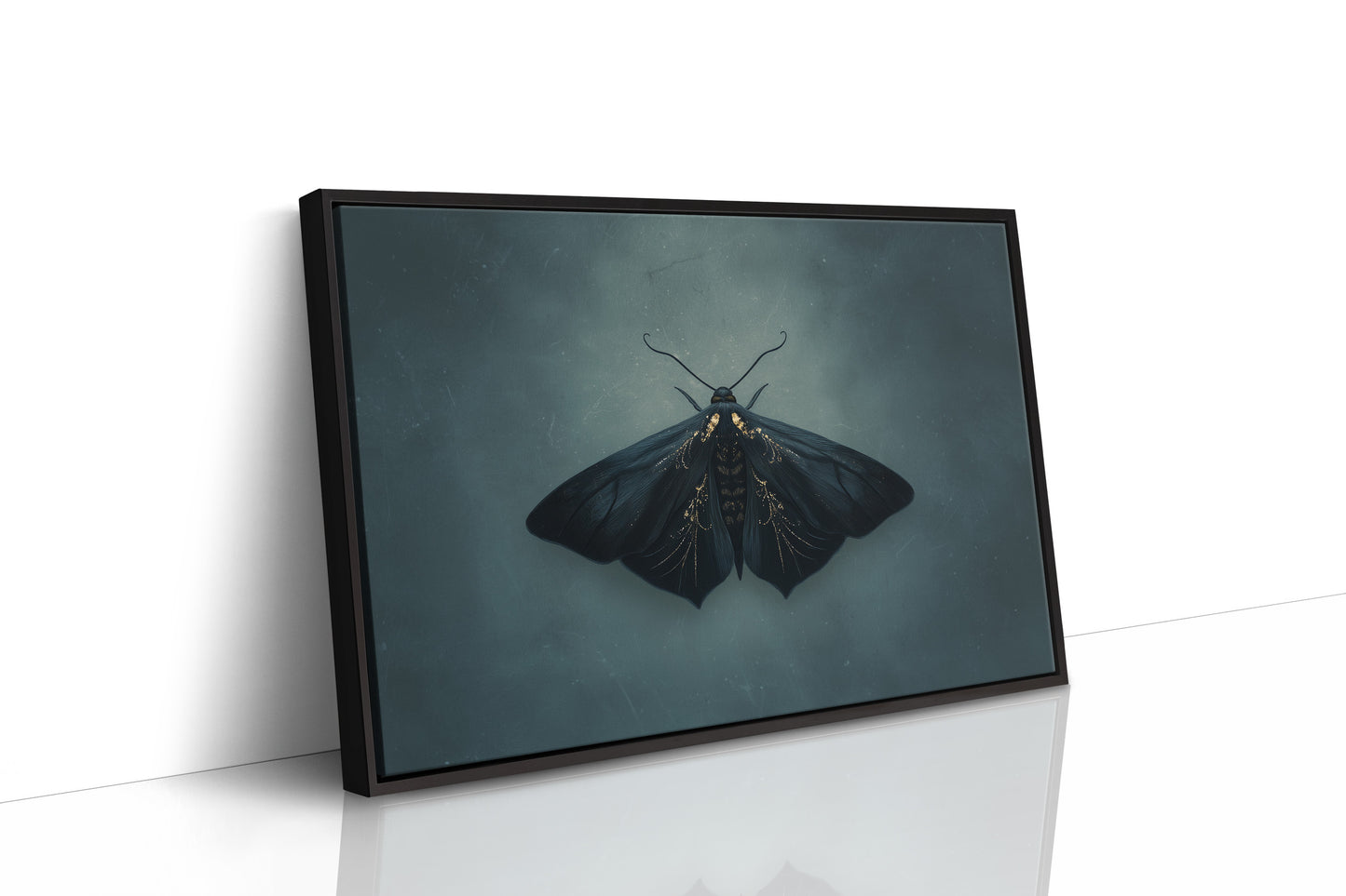 Velvet Wings Among Leather Spines