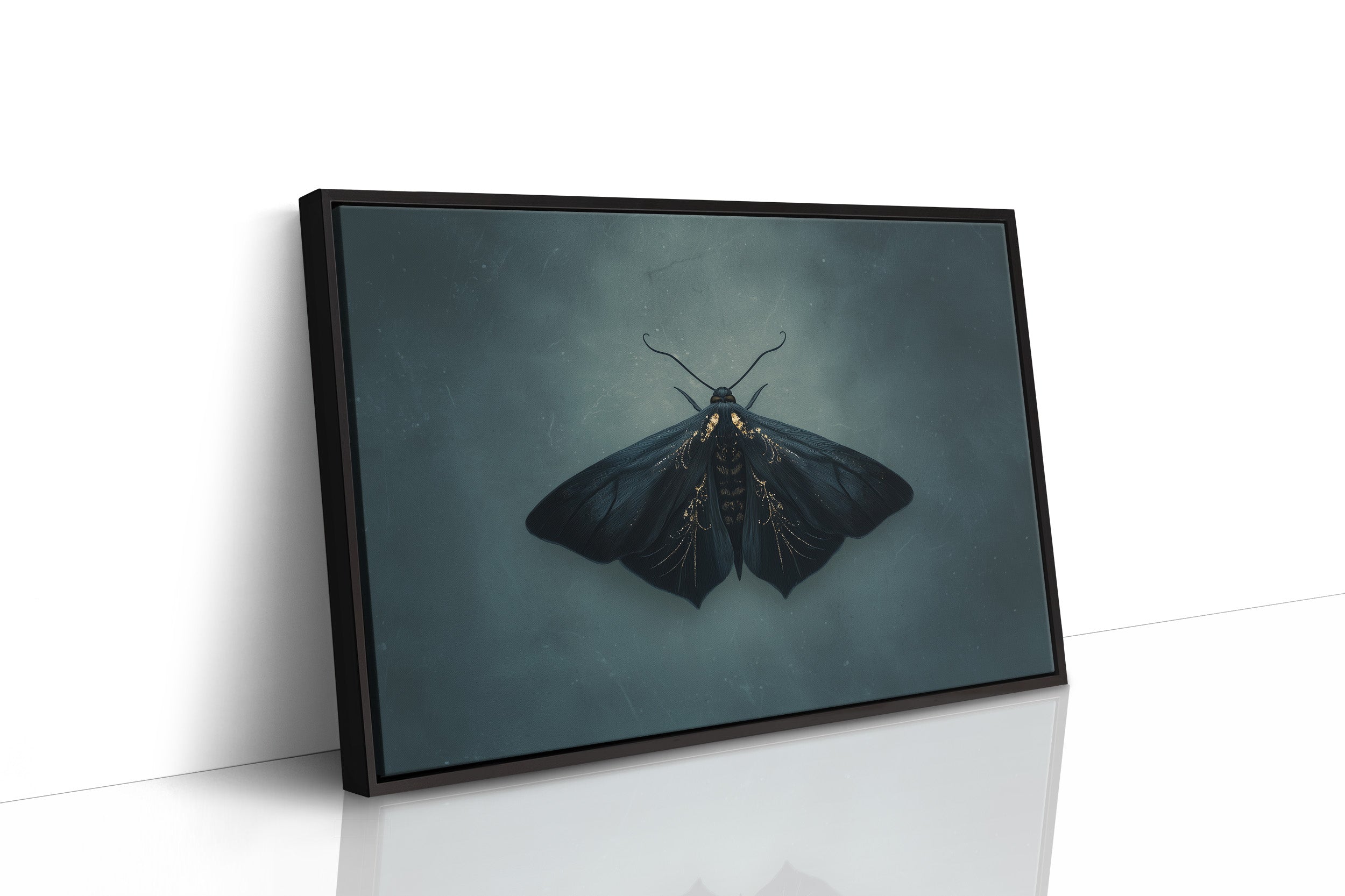 Velvet Wings Among Leather Spines