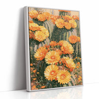 Blooming Barrel Cactus Flowers
