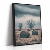Heavy Sky Over the Hay Field