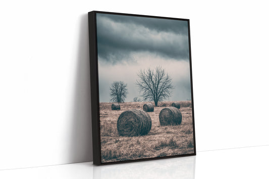 Heavy Sky Over the Hay Field
