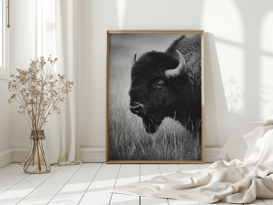 Eyes of the Prairie