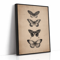 Specimen Study In Soft Light