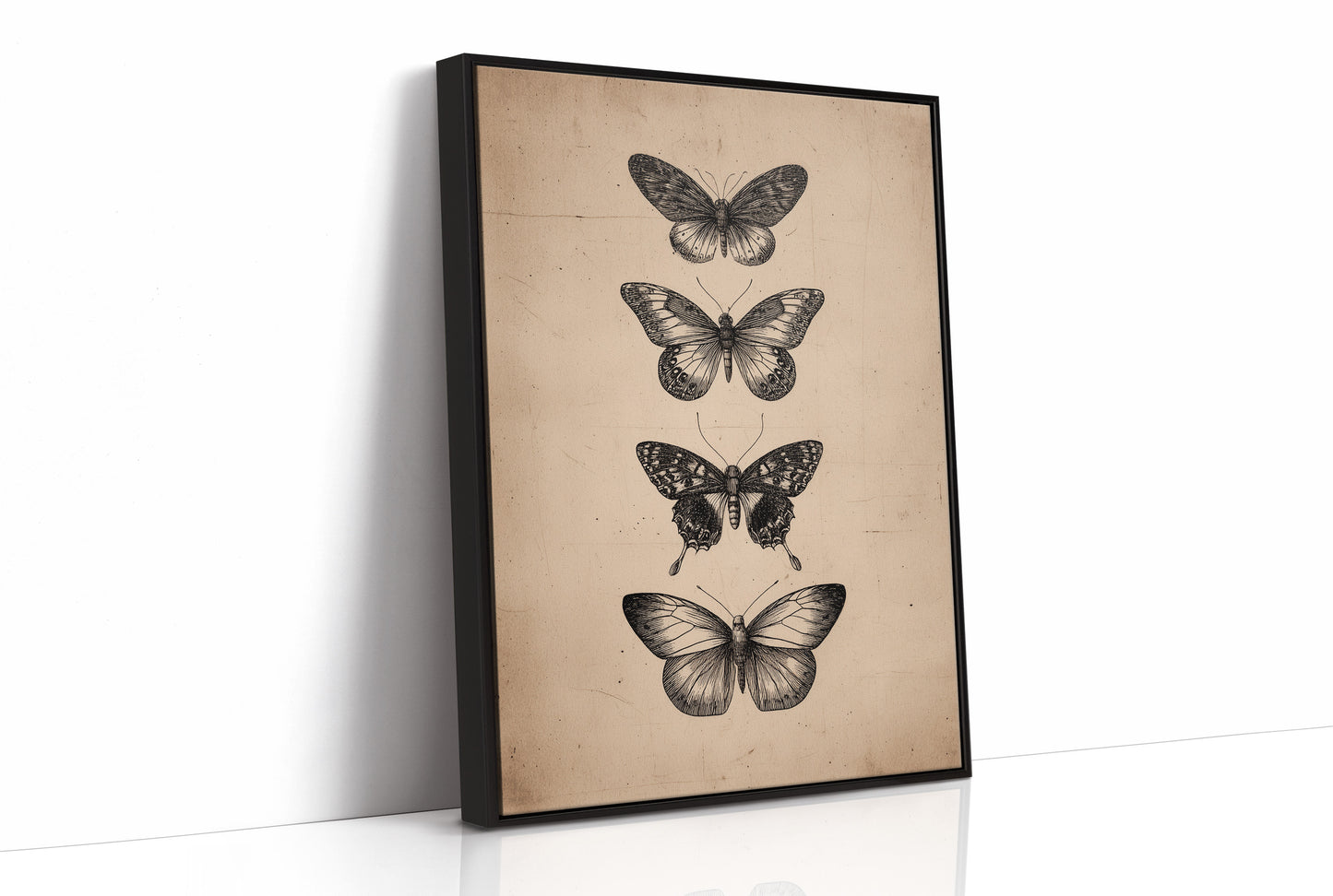 Specimen Study In Soft Light