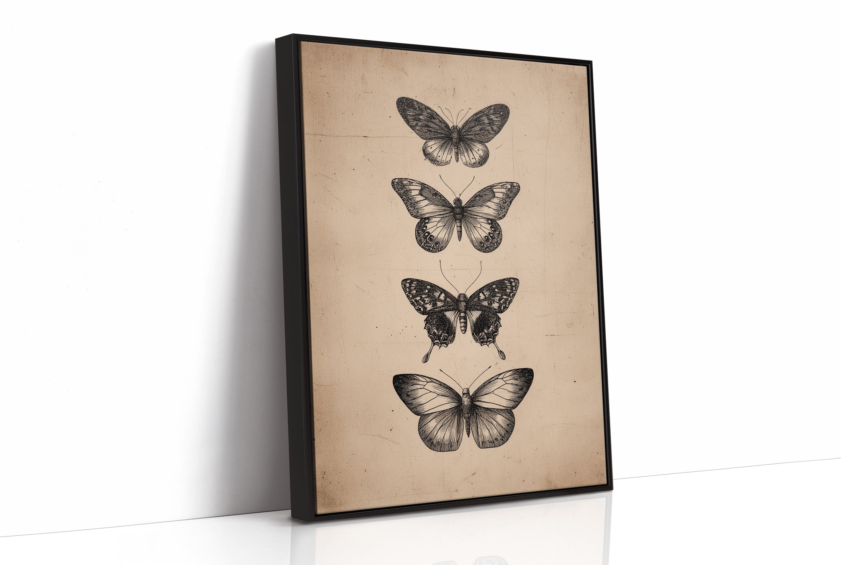 Specimen Study In Soft Light