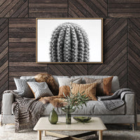 Spines Dance In Silver Light