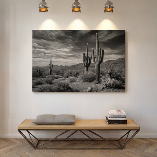 Tall Tales From Sonoran Skies