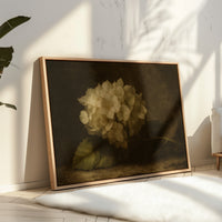 Faded Elegance Hydrangea