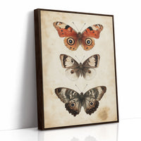 A Tapestry of Winged Wonders