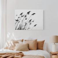 Swaying Secrets of the Marsh