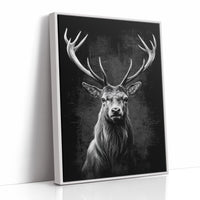 Midnight Tales From Northern Woods
