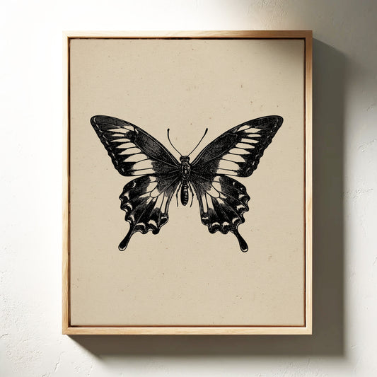 A Flutter Beneath Ancient Pages