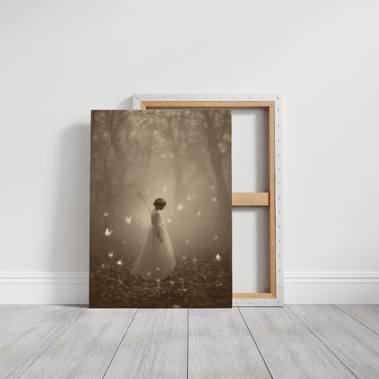 Between Mist And Butterfly Light