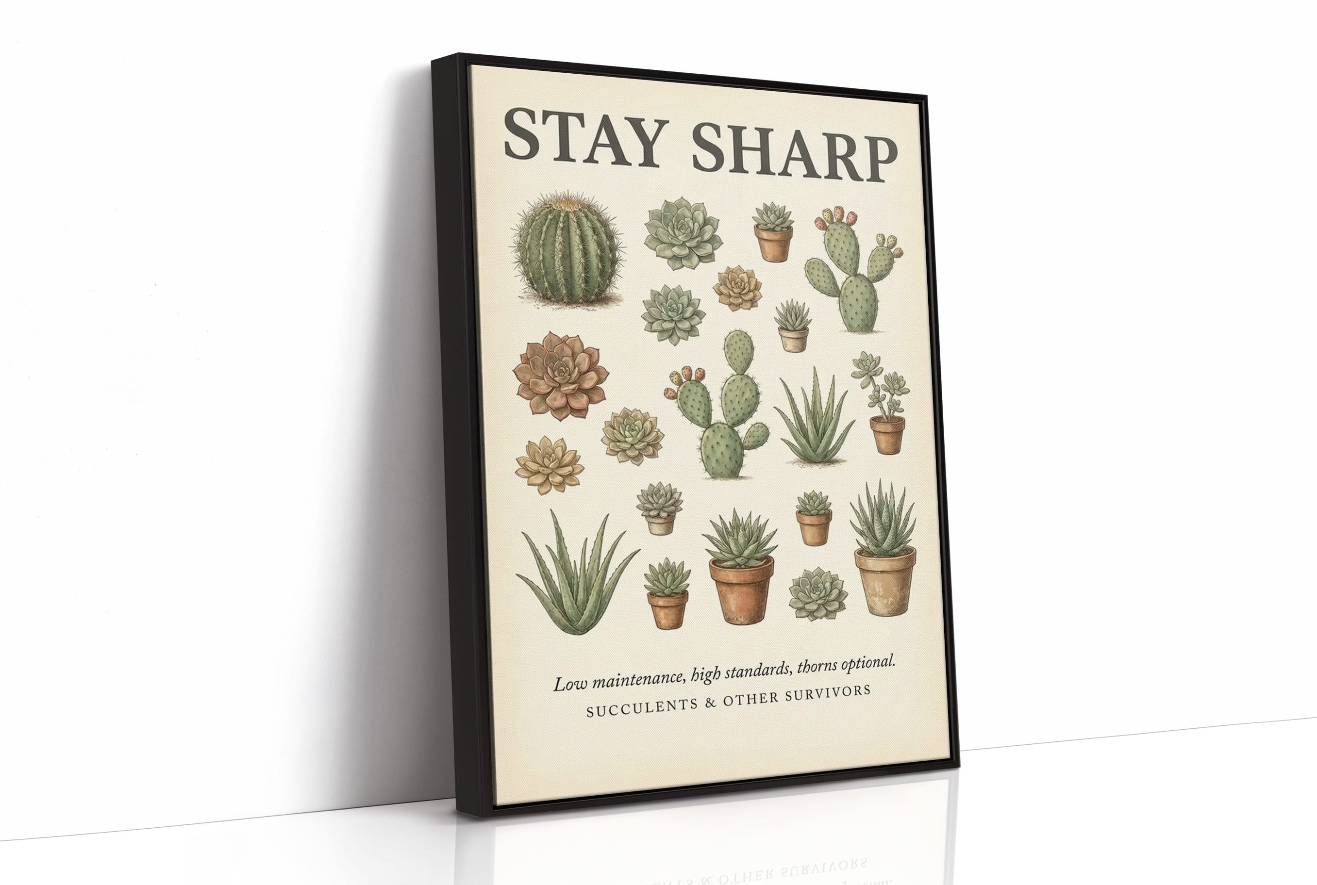 Stay Sharp: Vintage Succulent & Cactus Chart