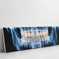 Dental X Ray Close Up