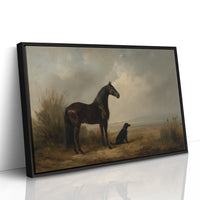 Noble Steed Shares Dawn With Friend