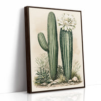Blooming Saguaro: A Desert Garden Study