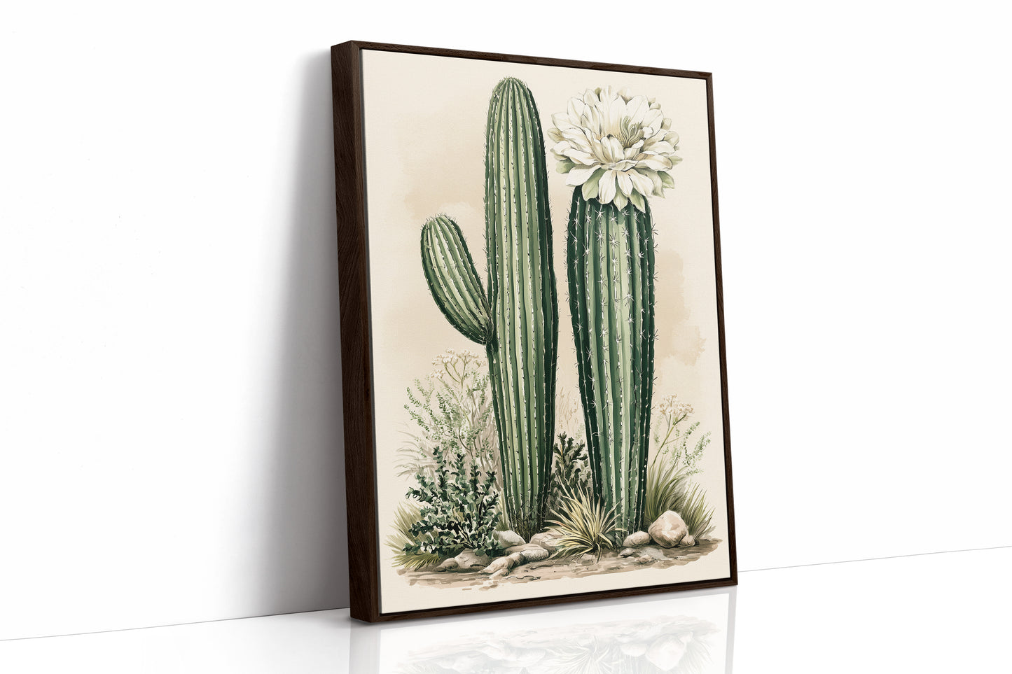 Blooming Saguaro: A Desert Garden Study