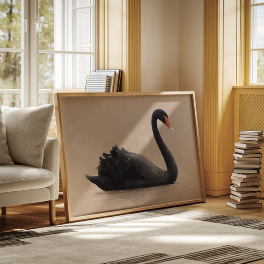 Black Swan Glides Through Blush Dawn