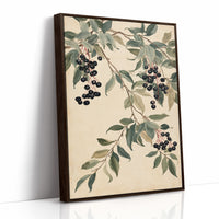 Botanical Berry: Elderberry Vine