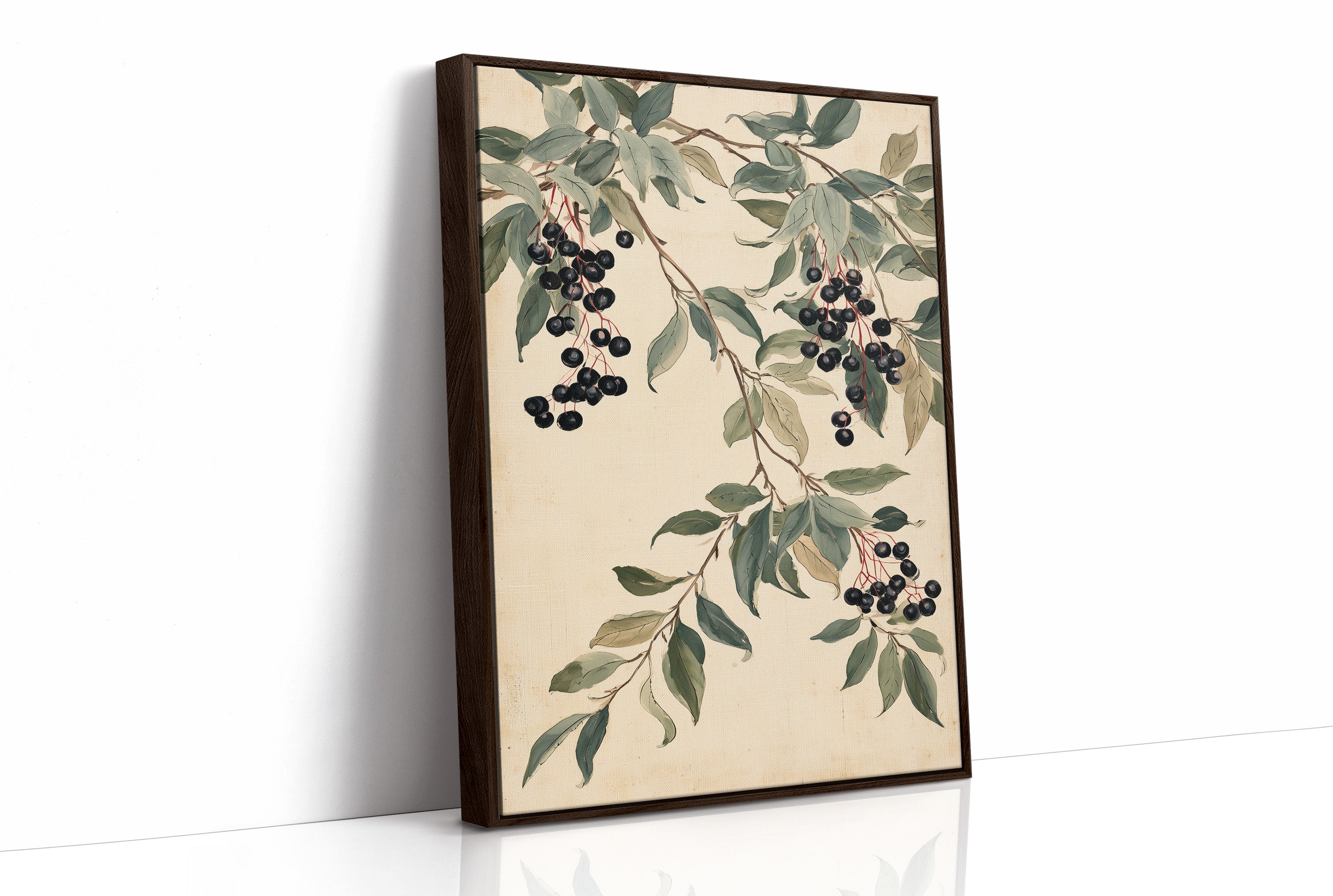Botanical Berry: Elderberry Vine