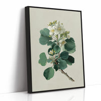 Ivory Blooms On Weathered Parchment