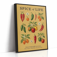 Spice of Life: Vintage Chili Pepper Chart